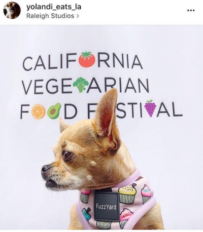 All About Animals at this Year's CA Veg Food Festival